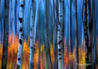 Hidden Color