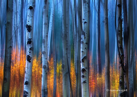 Hidden Color