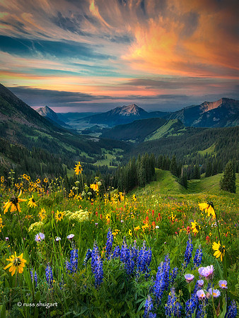 Sunrise in Paradise