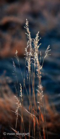 Sulpher Creek