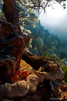 Flatirons Fog