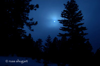 Dreamtime