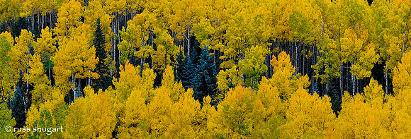 Aspen Patterns
