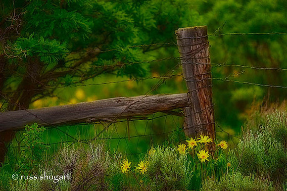 Forgotten Corner     Lake County
