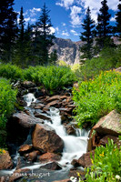 Forest Lakes