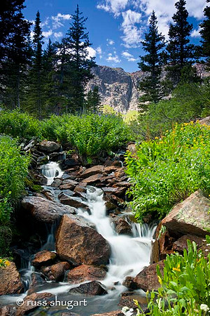 Forest Lakes